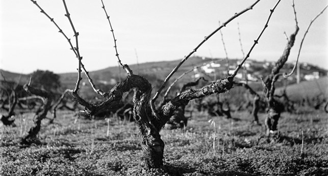 Newsletter n.º 45 - Foto 2